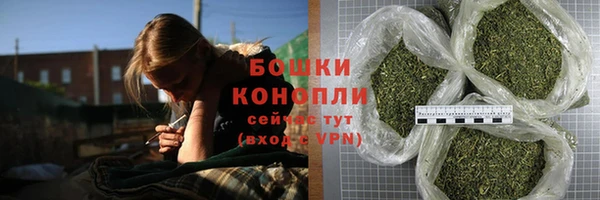 мдпв Осинники