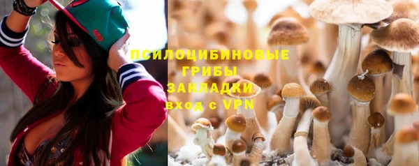 круглые Алзамай