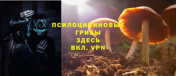 молекула духа Алексин