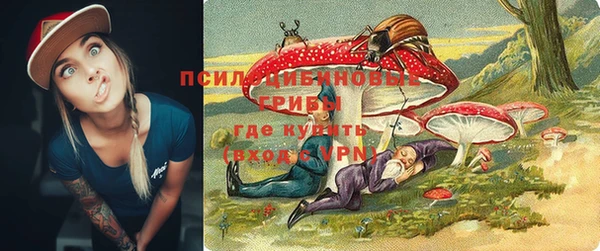 круглые Алзамай