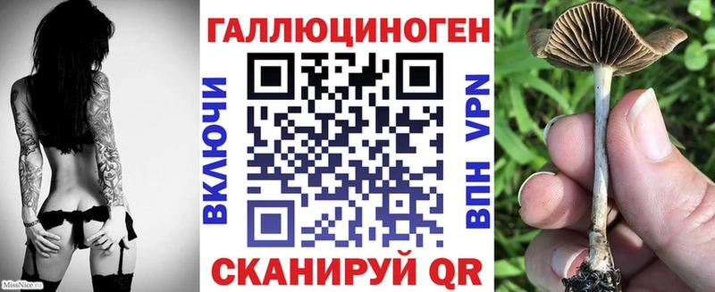 где купить наркоту Лагань ссылка на мегу маркетплейс Псилоцибиновые грибы прущие грибы